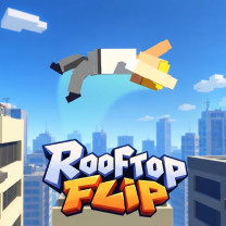 Rooftop Flip img